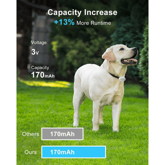 3V Replacement Battery for Invisible Fence Power Cap [2, 3, 4, 6 Pack Options] - Compatible with R21 R22 R51 and MicroLite Receiver Collars